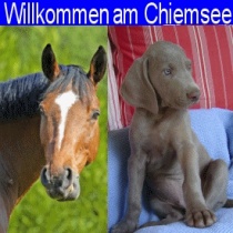 Chiemsee-2007-1