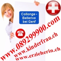 Genf-2008-03